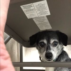 Meet your Posher, Dana